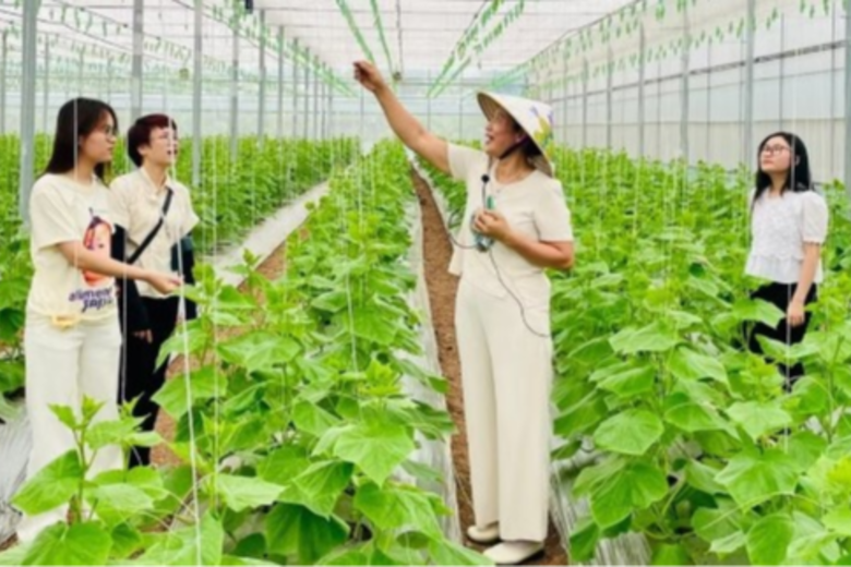 Hướng đi “xanh” của du lịch Việt