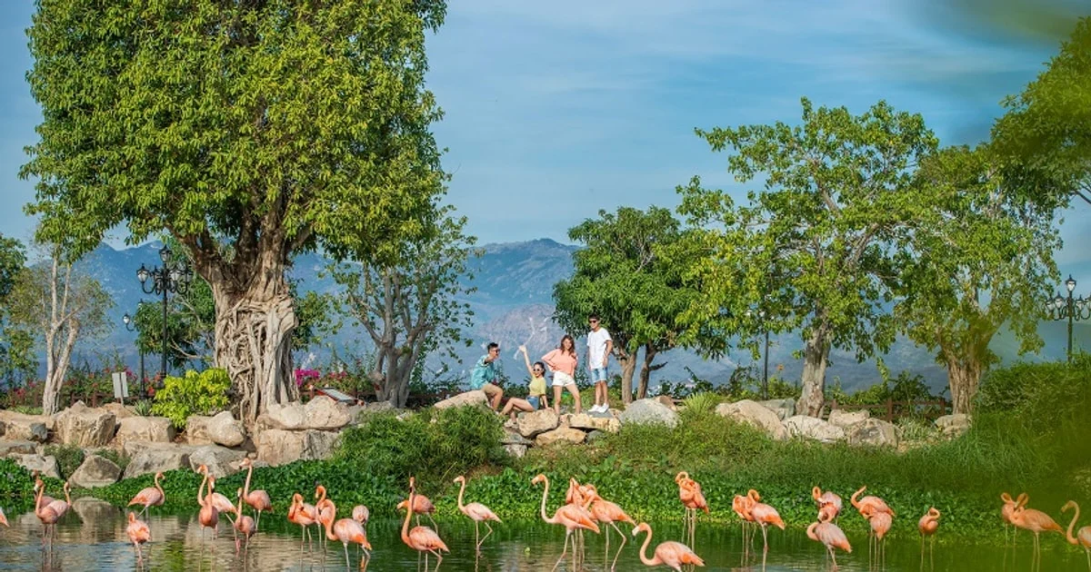 Vietnam.vn - Nền tảng quảng bá Việt Nam